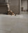 Heritage (Ricchetti) Blanc Matte Porcelain Tile - 20" x 40"