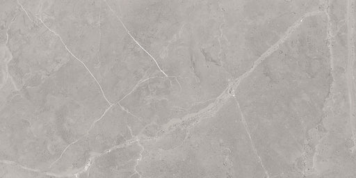 Sterlina Porcelain Gray Tile Polished 1