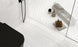 Dolomina Porcelain White BTIDOLO Tile Polished 4