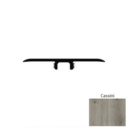 Wood Cassini