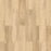 Inspirations Wood Edgewood Plank Embossed 1