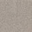 Intrigue Polypropylene Charm Carpet Textured 1