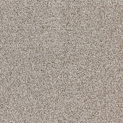 Intrigue Polypropylene Charm Carpet Textured 1