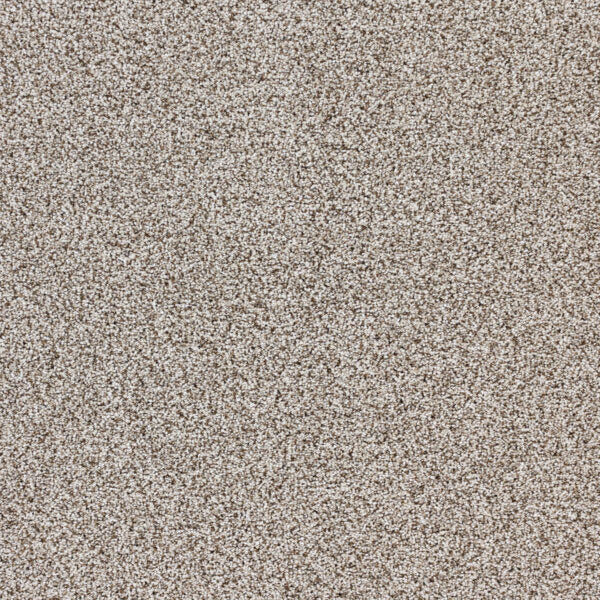 Intrigue Polypropylene Charm Carpet Textured 1