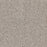 Intrigue Polypropylene Charm Carpet Textured 2