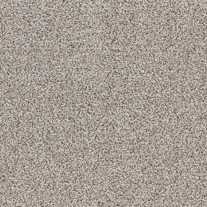 Intrigue Polypropylene Charm Carpet Textured 2