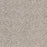 Intrigue Polypropylene Allure Carpet Textured 1