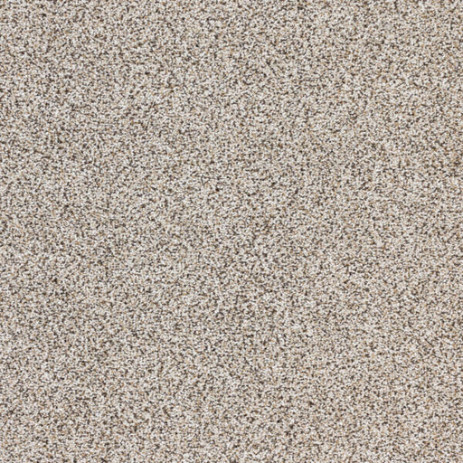 Intrigue Polypropylene Allure Carpet Textured 1