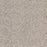 Intrigue Polypropylene Allure Carpet Textured 2