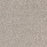 Intrigue Polypropylene Hypnotic Carpet Textured 1