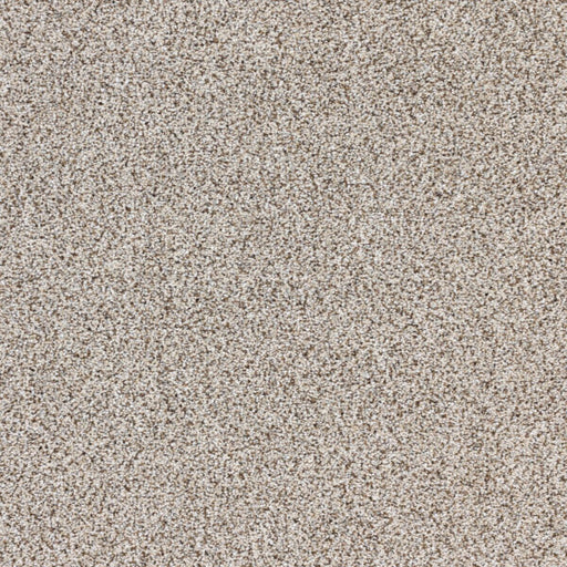 Intrigue Polypropylene Hypnotic Carpet Textured 1
