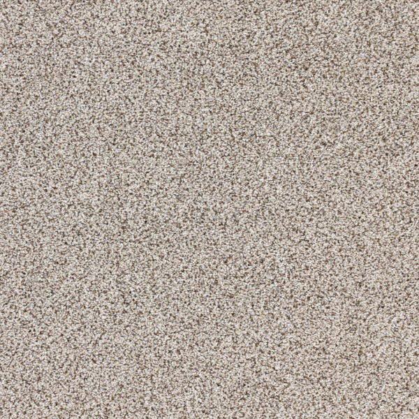 Intrigue Polypropylene Hypnotic Carpet Textured 1
