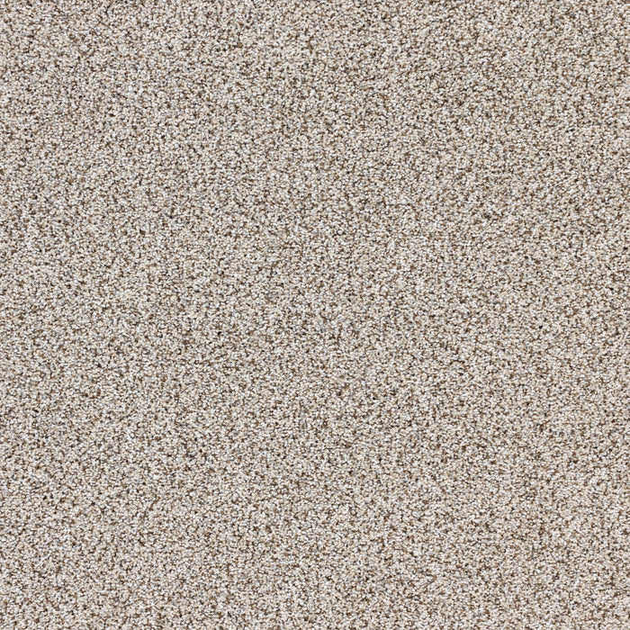 Intrigue Polypropylene Hypnotic Carpet Textured 2