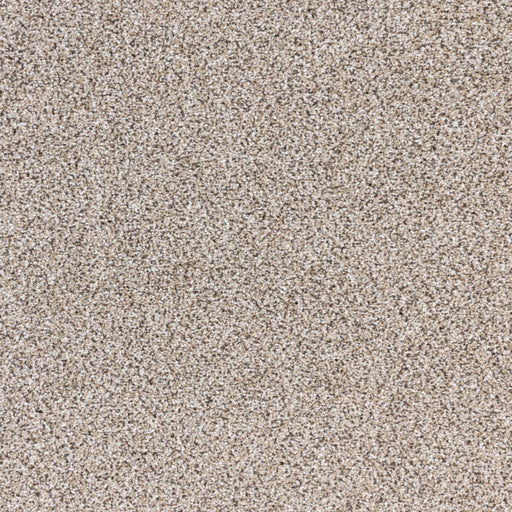 Intrigue Polypropylene Showstopper Carpet Textured 1