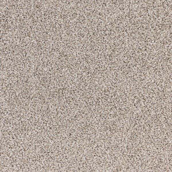 Intrigue Polypropylene Showstopper Carpet Textured 1