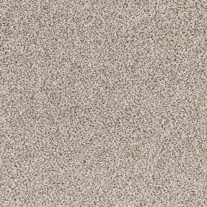 Intrigue Polypropylene Showstopper Carpet Textured 2