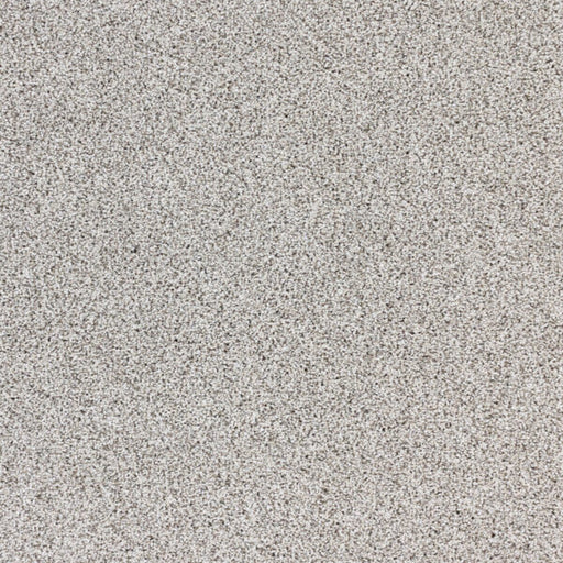 Intrigue Polypropylene Wonder Carpet Textured 1