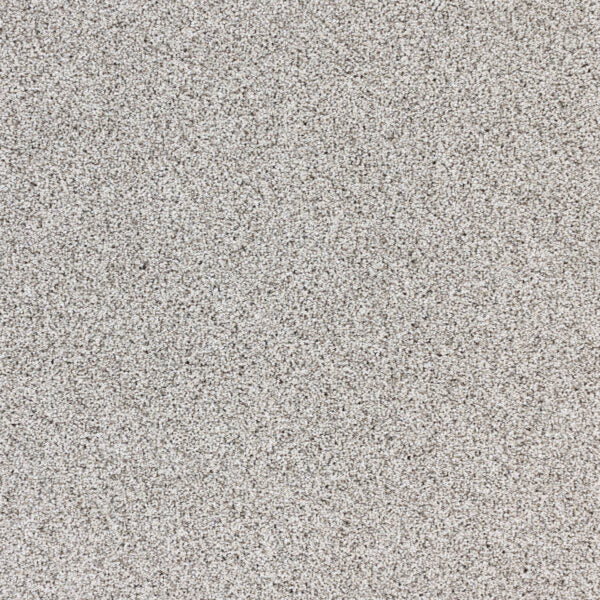Intrigue Polypropylene Wonder Carpet Textured 1