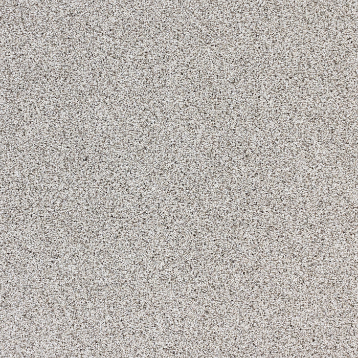 Intrigue Polypropylene Wonder Carpet Textured 2