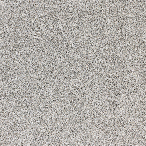 Intrigue Polypropylene Mystere Carpet Textured 1