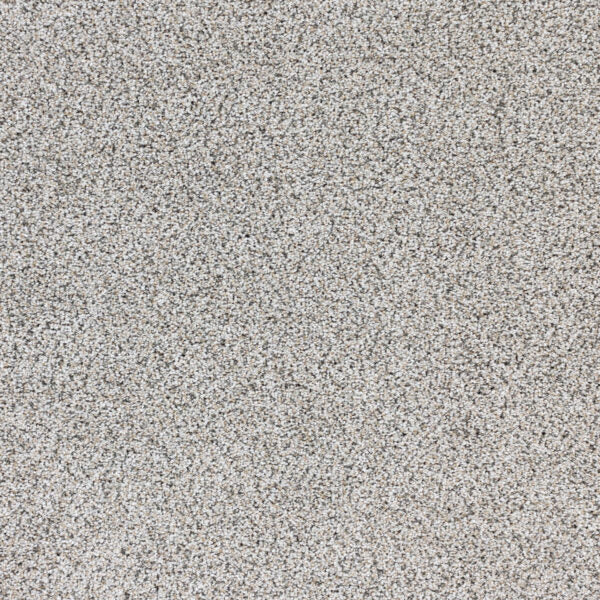 Intrigue Polypropylene Mystere Carpet Textured 1
