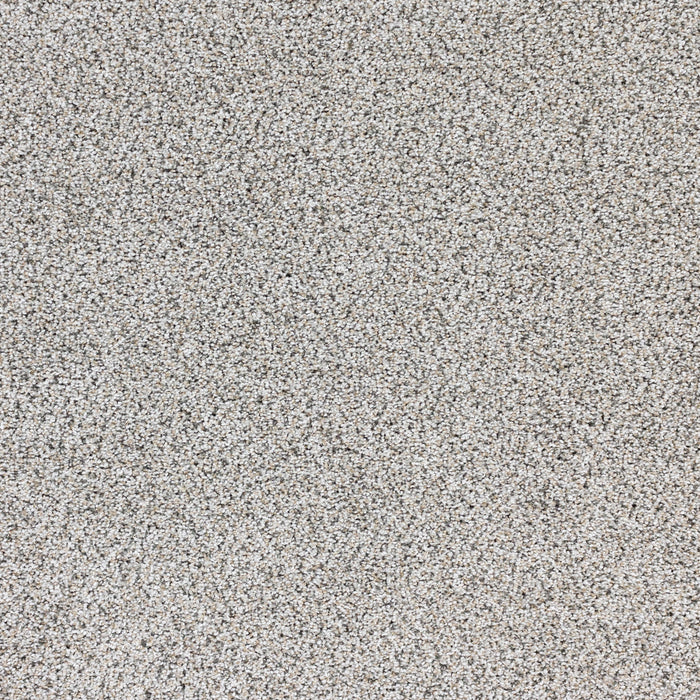 Intrigue Polypropylene Mystere Carpet Textured 2
