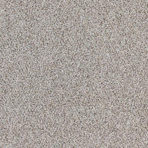 Intrigue Polypropylene Opulence Carpet Textured 1