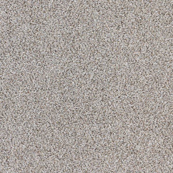 Intrigue Polypropylene Opulence Carpet Textured 1