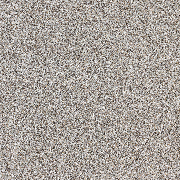 Intrigue Polypropylene Opulence Carpet Textured 2