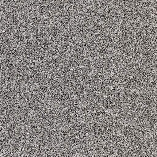 Intrigue Polypropylene Epic Carpet Textured 1