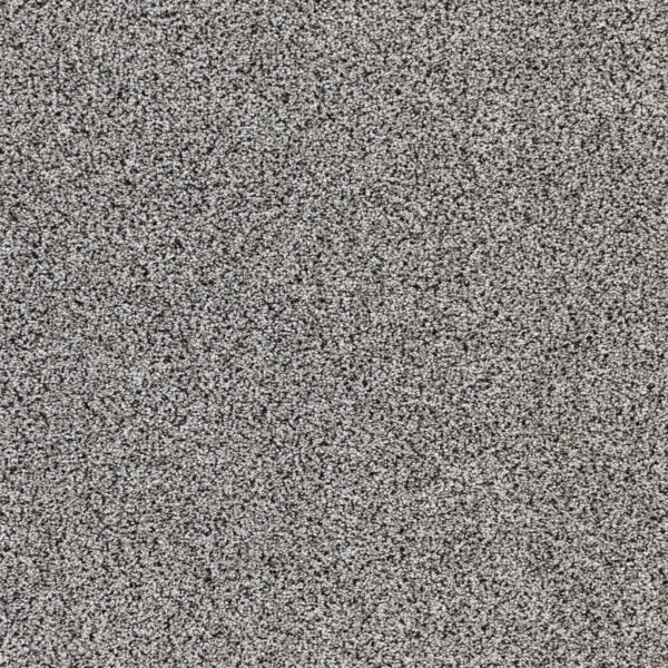Intrigue Polypropylene Epic Carpet Textured 1