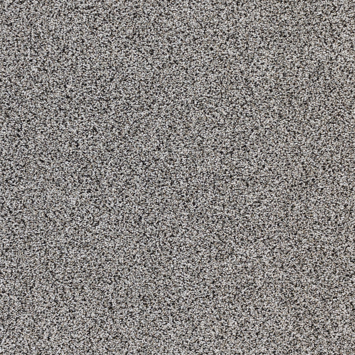 Intrigue Polypropylene Epic Carpet Textured 2