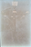 Ivory Beige Polished Marble Tile - 24" x 24"