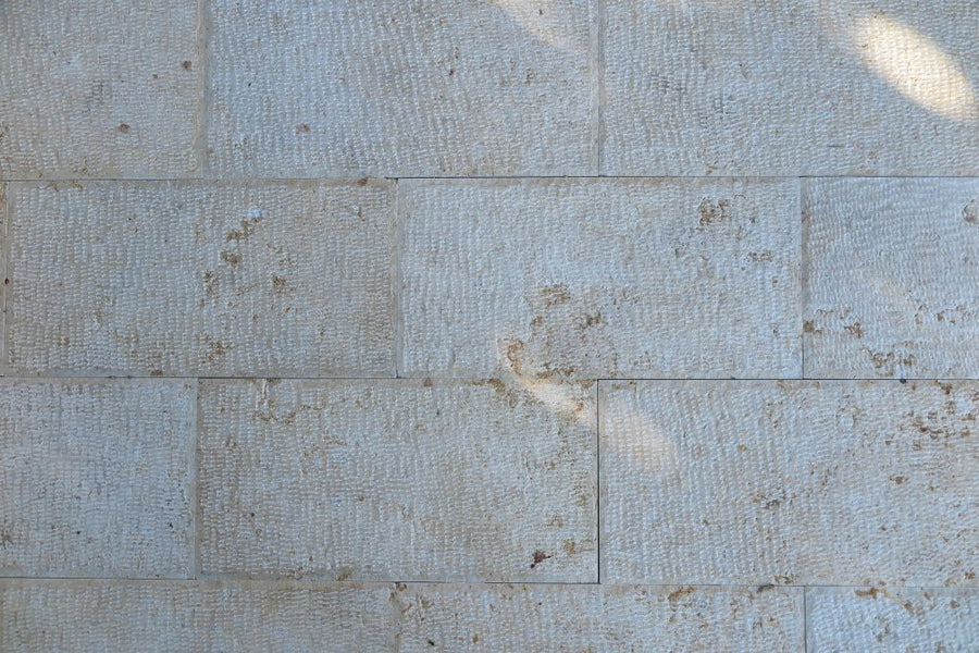 Fine Tile Loder Jerusalem Gold Limestone Tile - Fine Chiseled | Lowest Price — Stone ...