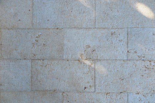 Jerusalem Gold Limestone Tile - Fine Chiseled