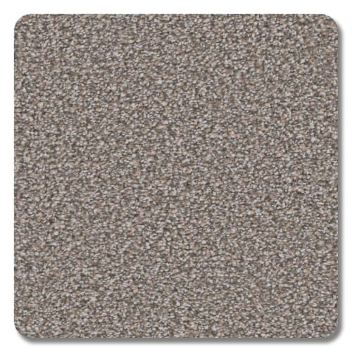 Valley View Jasper Polyester Carpet - Textured