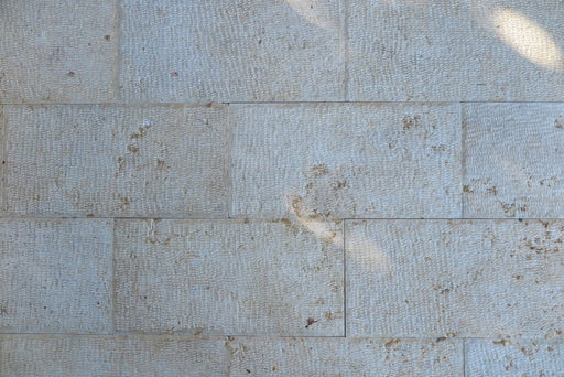 Jerusalem Gold Limestone Tile -  Fine Chiseled