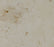 Full Tile Sample - Jura Beige Limestone Tile - 12" x 24" x 3/8" Honed