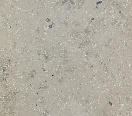 Full Tile Sample - Jura Gray Limestone Tile - 18" x 18" x 3/8" Honed