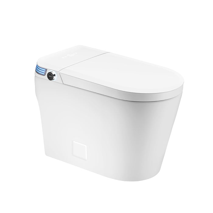Iflush Classic Toilet White Ceramic Toilet - White 2