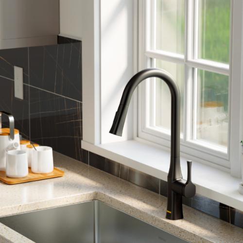 Standerton Solid Brass Matte Black Kitchen Faucet 2