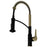 Scottsdale Solid Brass Matte Black and Spot Free Brushed Gold Kitchen Faucet 1