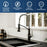 Scottsdale Solid Brass Matte Black and Stainless Steel Kitchen Faucet 2