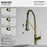 Scottsdale Solid Brass Spot Free Brushed Gold Kitchen Faucet 4