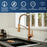 Alston Solid Brass Brushed Copper Kitchen Faucet 2