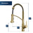 Alston Brushed Gold Solid Brass Pull Down Kitchen Faucet - Single Handle / One Hole with Matching Soap Dispenser