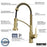 Alston Brushed Gold Solid Brass Pull Down Kitchen Faucet - Single Handle / One Hole with Matching Soap Dispenser
