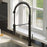 Bluffton Solid Brass Matte Black Kitchen Faucet 2