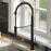 Bluffton Solid Brass Matte Black Kitchen Faucet 2