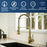 Loxton Solid Brass Brushed Gold Kitchen Faucet 3